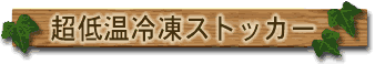 ���ቷ�Ⓚ�X�g�b�J�[
